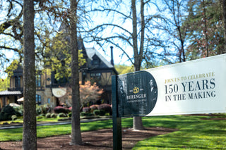 How Does Beringer Evolve for the Future? (2010–2016)