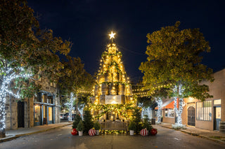 2026 Barrel Tree