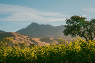Shop Knights Valley