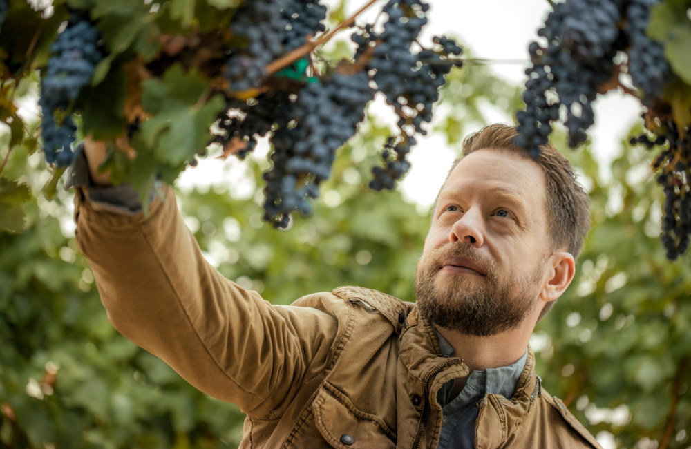 Winemaker Ryan Rech