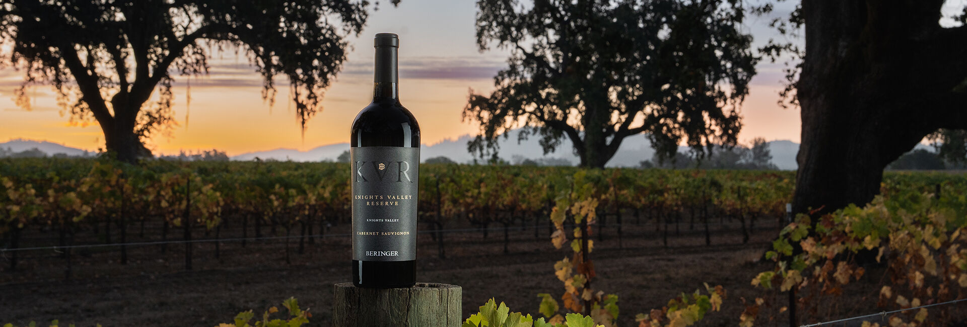 Beringer Knights Valley Reserve Cabernet Sauvignon
