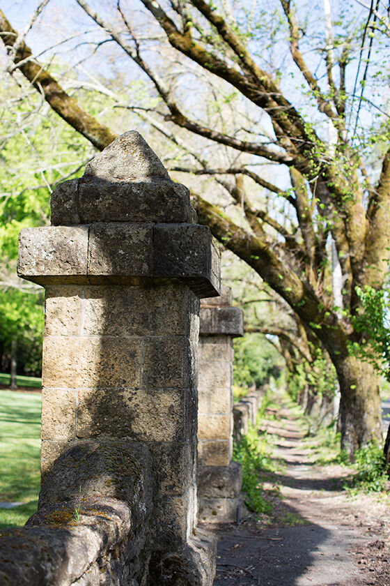 Old stone fence walkway at Beringer