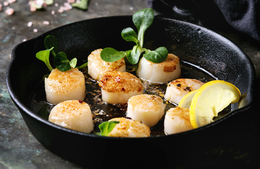 scallops