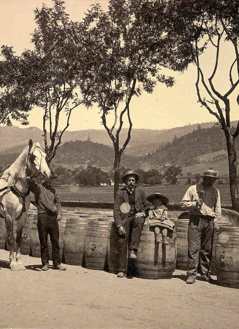 Historical Beringer Photograph: Horse Carriage in Front of Vineyard