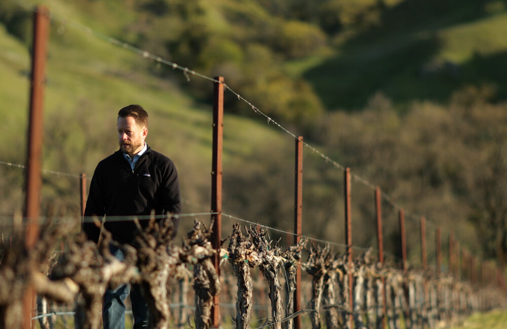 Mark Beringer in Vineyard