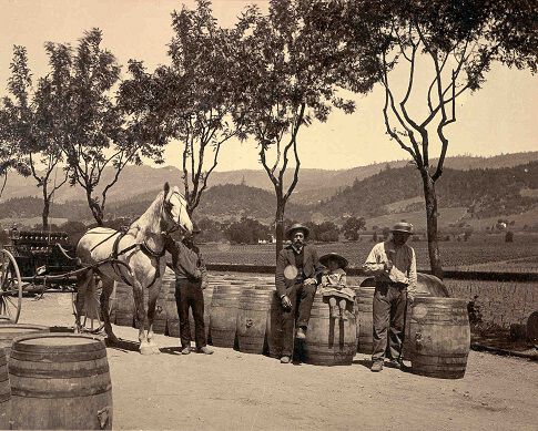 Historical Beringer Photograph: Horse Carriage in Front of Vineyard