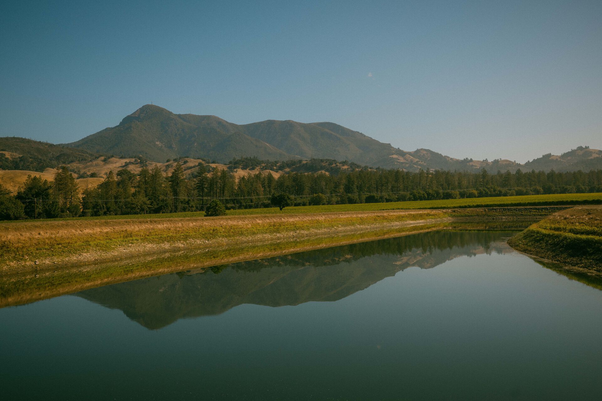 Waterway at Beringer Knights Valley Vineyard