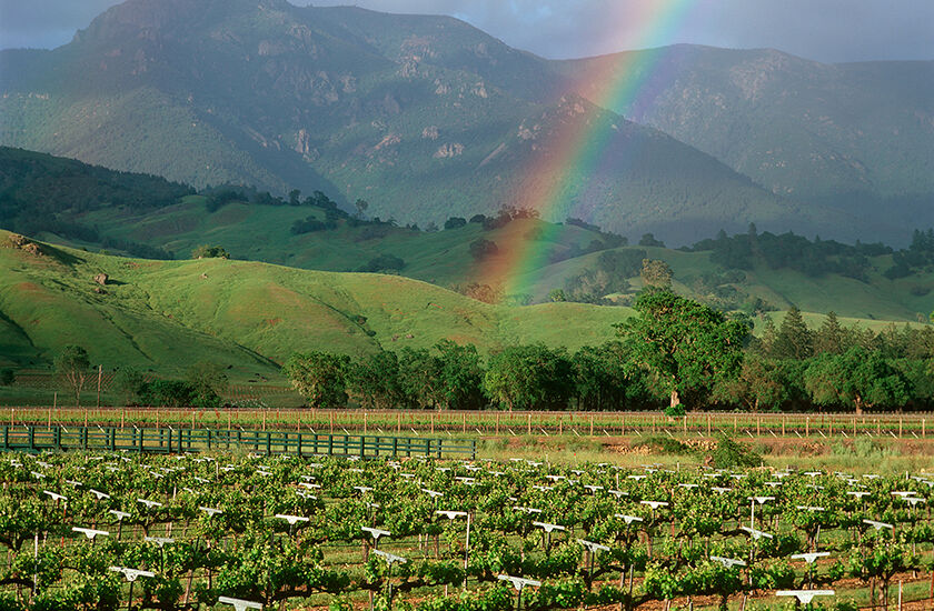 Beringer Knights Valley Rainbow