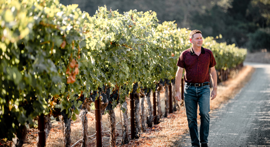 Mark Beringer in one of Napa's oldest vineyard sites